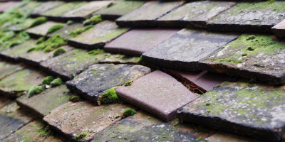 Hinton roof repair costs